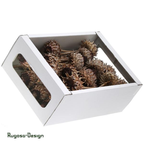 Cynara Flower, orange/raureif